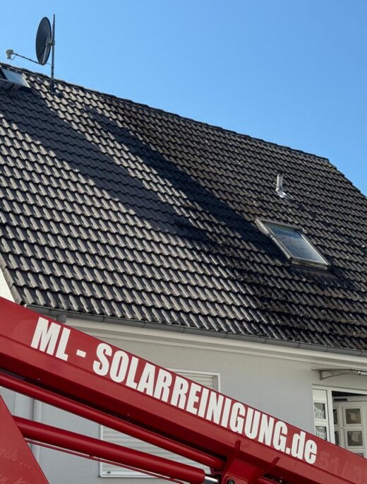 WhatsApp Image 2026-04-13 at 08.55.07 (2)